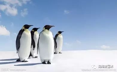 穿越火线手游辅助卡盟平台官网_穿越火线卡盟_穿越火线游戏卡盟