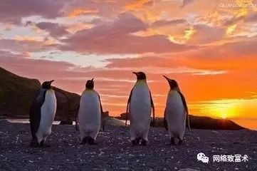 穿越火线手游辅助卡盟平台官网_穿越火线卡盟_穿越火线游戏卡盟